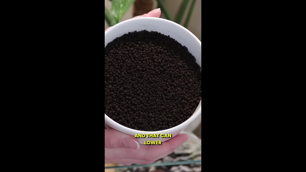 Common Issues with Aqua Soil 🌿  #aquariumcoop #aquariumadvice #aquascape #shorts