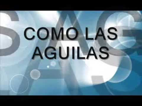 Como las Aguilas Letra  (Patricio Mena)