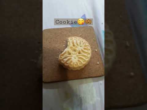 cookie😋🍪 ,,,,,nom nom nom meme? sound: nom nom nom by((unknown))