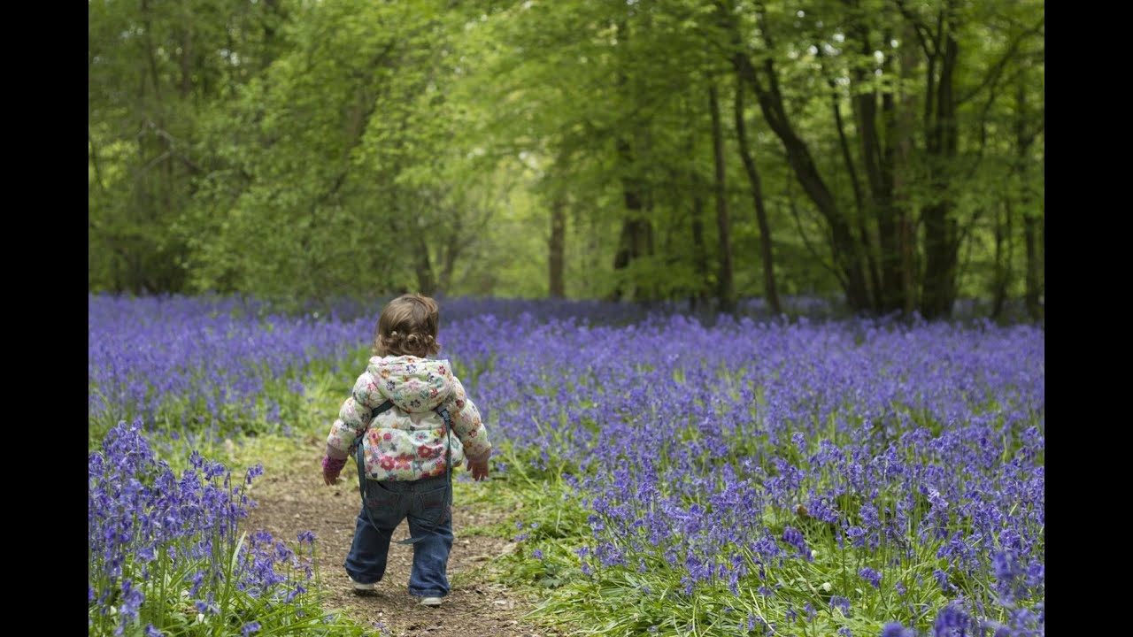 Cortisol levels in young children