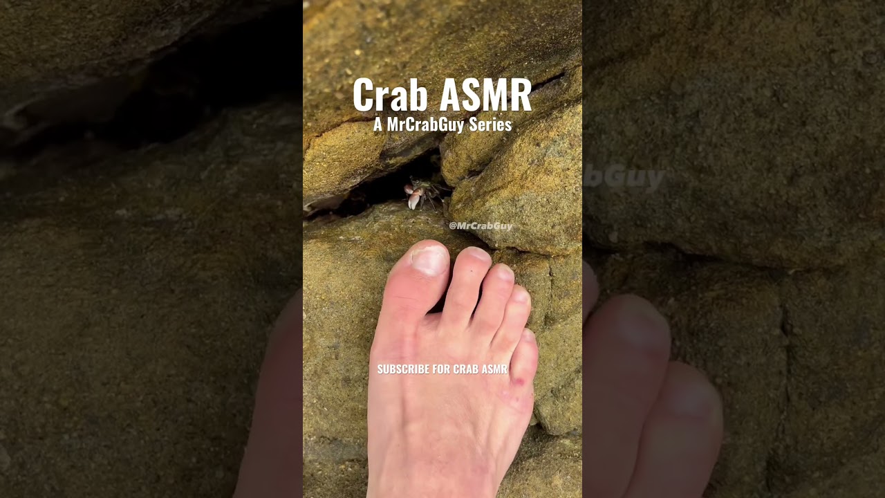 Crab Pedicure ASMR Sounds! 🤯🦀🦶#shorts
