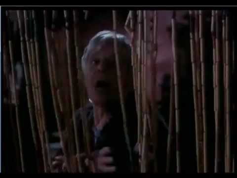 Crime and Punishment (3)
