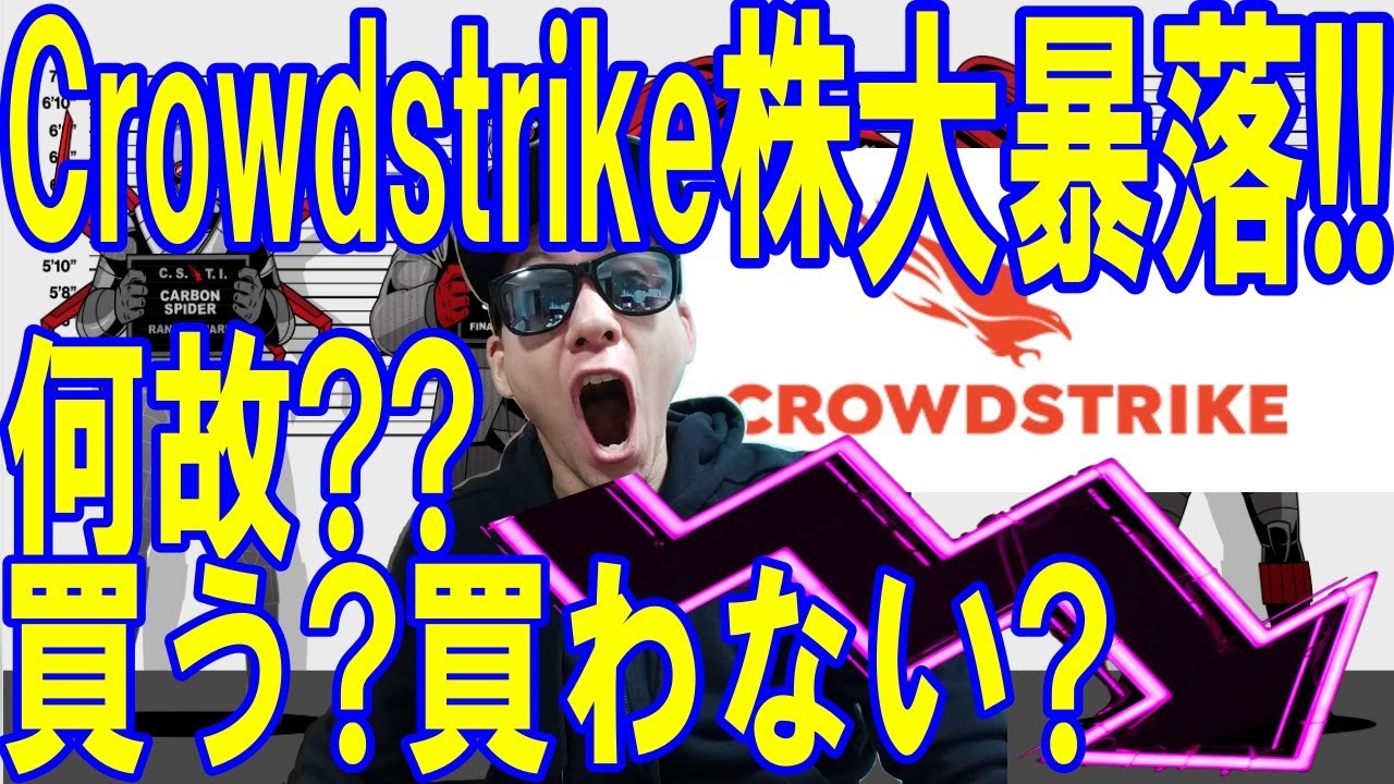 Crowdstrike株1日で15％の下落!何故!?買うべきか、買わないべきか？を解説します!米国個別株銘柄を深堀解説しています!