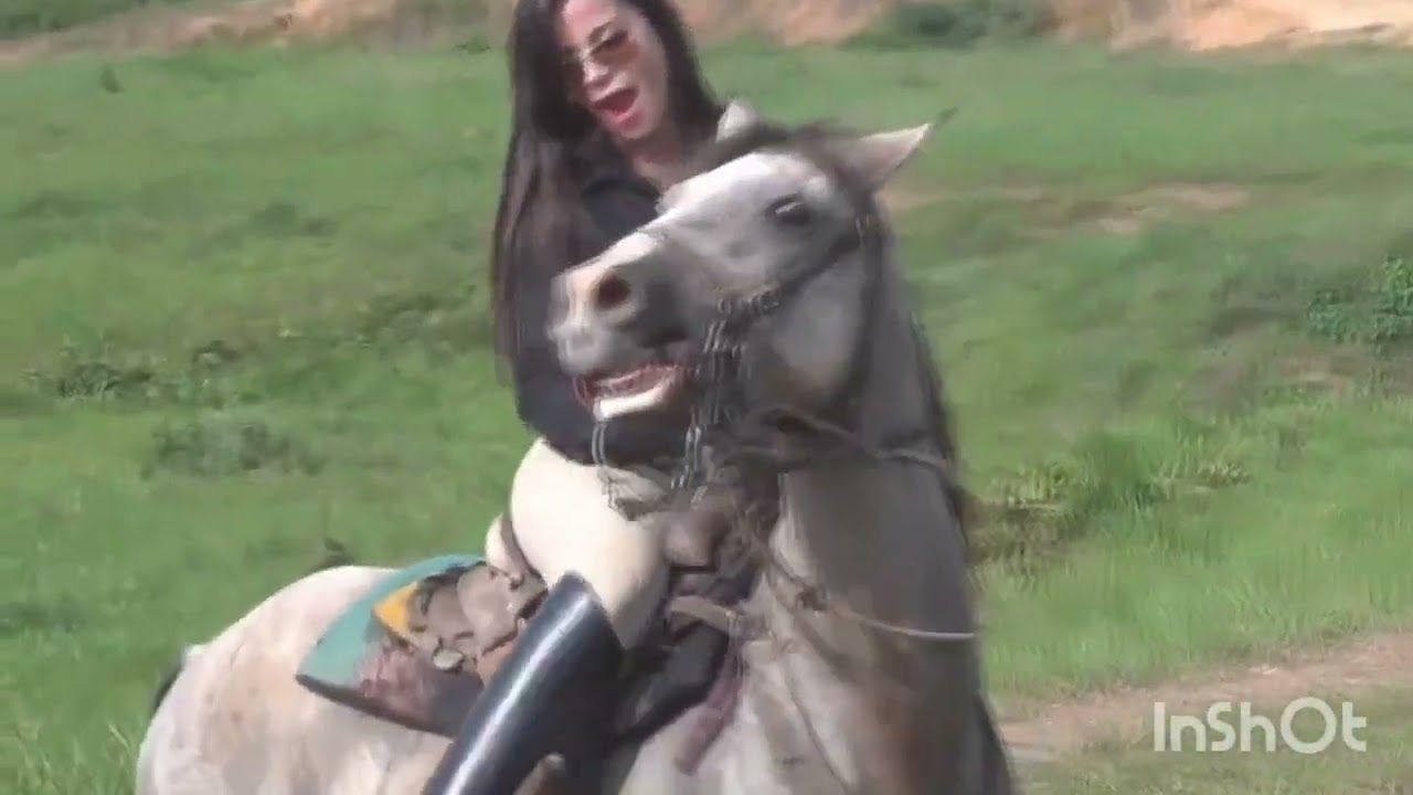 Cruel Horse riding. Cruel Riding. Horse Riding Video. Donkey Riding Video. #horsriding #donkey