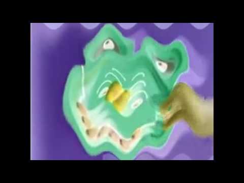 Crying Zoopals