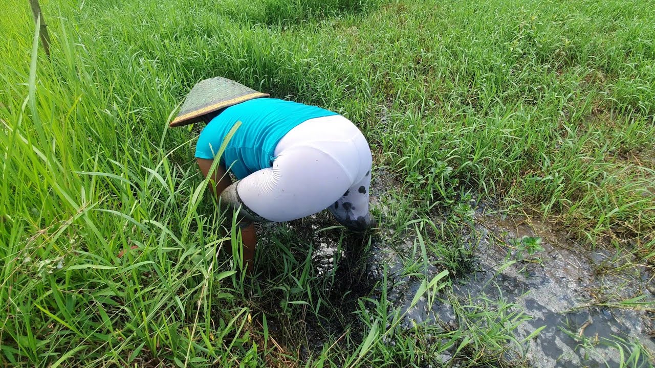 CUACA CERAH ! SAAT NYA KESAWAH CARI IKAN