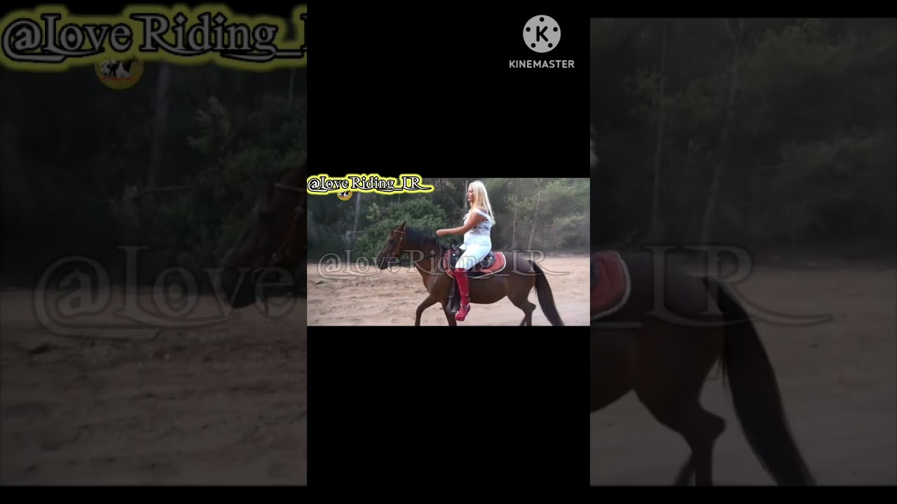 C®uel women riding horse. #Leder​ #pony​ #reiten​ #ponyriding​#ponyreiten​#sheep​#sheepriding