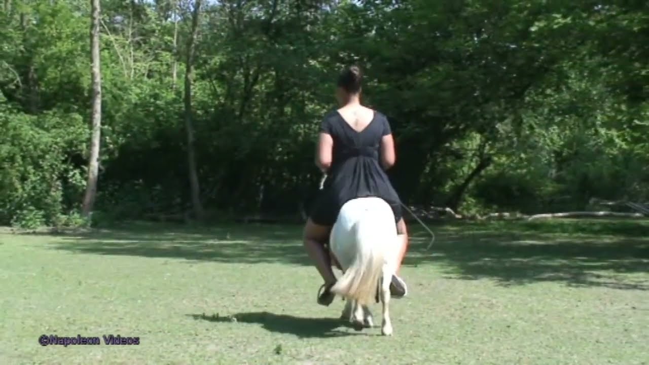 C®uel women riding horse. Part-29#Leder​ #pony​ #reiten​ #ponyriding​#ponyreiten​#sheep​#sheepriding