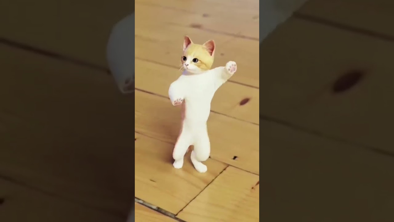 cute billi dancing💃 bhojpuri song🎵 #virals #billi #cat #animals #shortsvideo