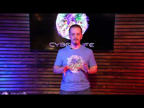 Cyber Life television show with Professional Hacker Zaid Sabih