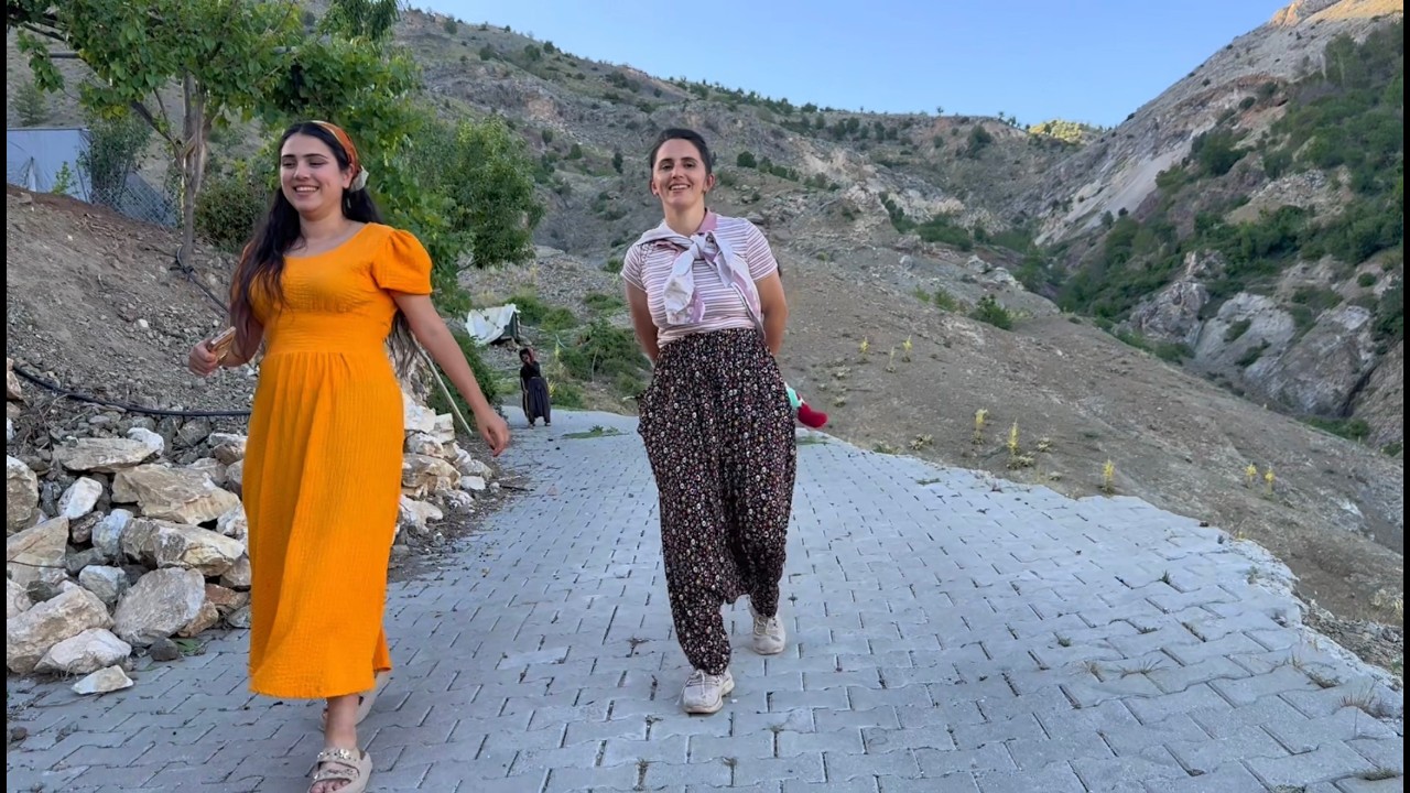 Dağ Köyünde Günlük Hayat / Dağ Kekiği Toplama