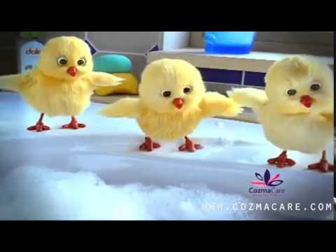 Dalin Baby Shampoo