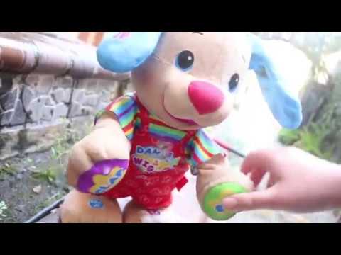 Dance and Wiggle Dog Destruction