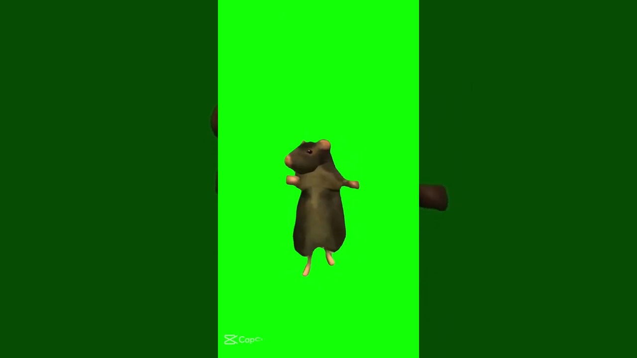 Dancing rat green screen