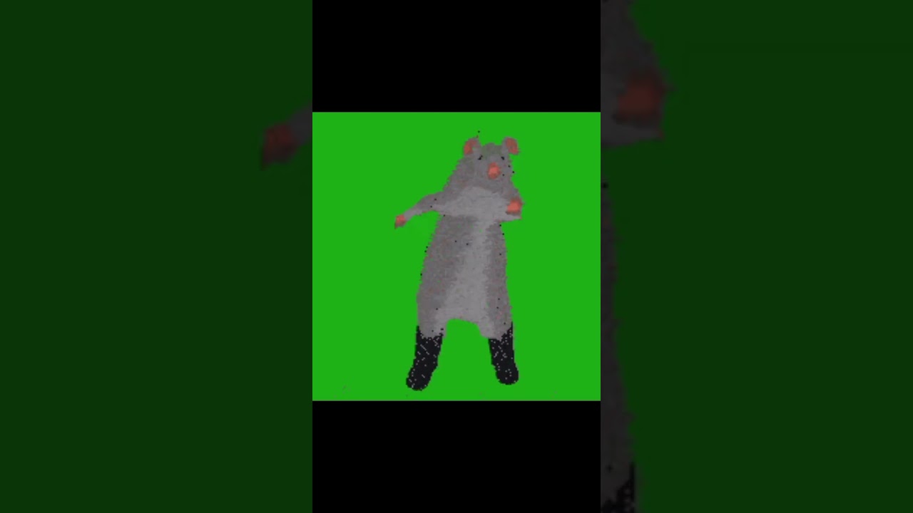Dancing rat (green screen)