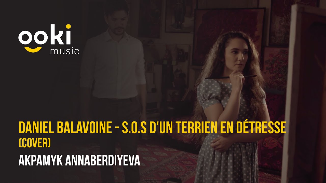 Daniel Balavoine - S.O.S d'un terrien en détresse (cover by Akpamyk)