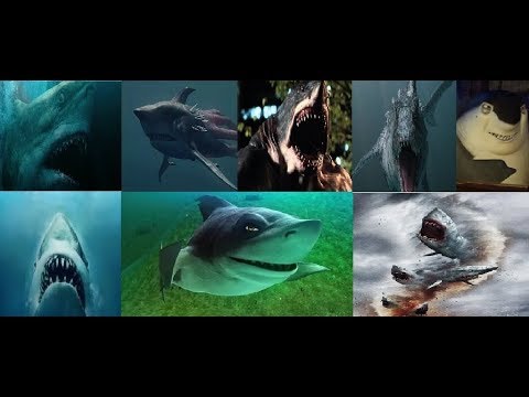Defeat of my favorite animals villains part II (sharks)