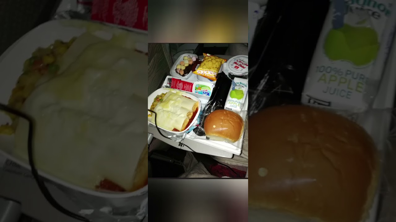 Delicious Food in Emirated Flight || @Danceand TravelDrlights15 || #reels #flight #emirates #food