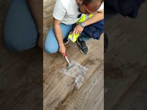 ÇİĞDEM TEMİZLİK
