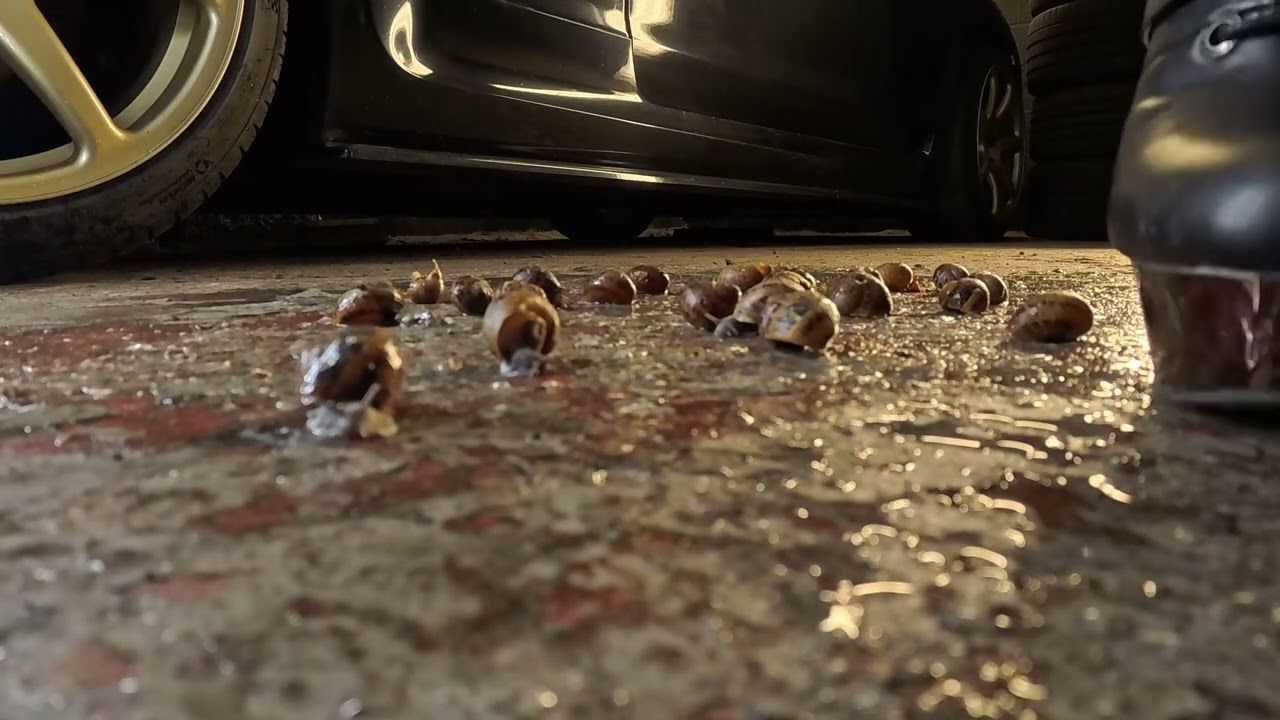 Demonia boots crush snails asmr