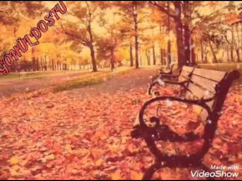 Deniz TOPRAK - Hazan Nedir