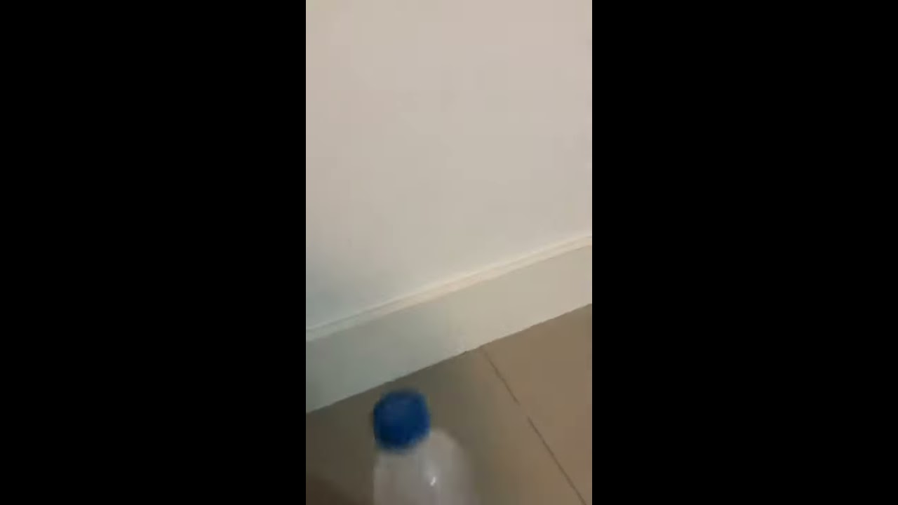 Desafio da garrafa 2020.