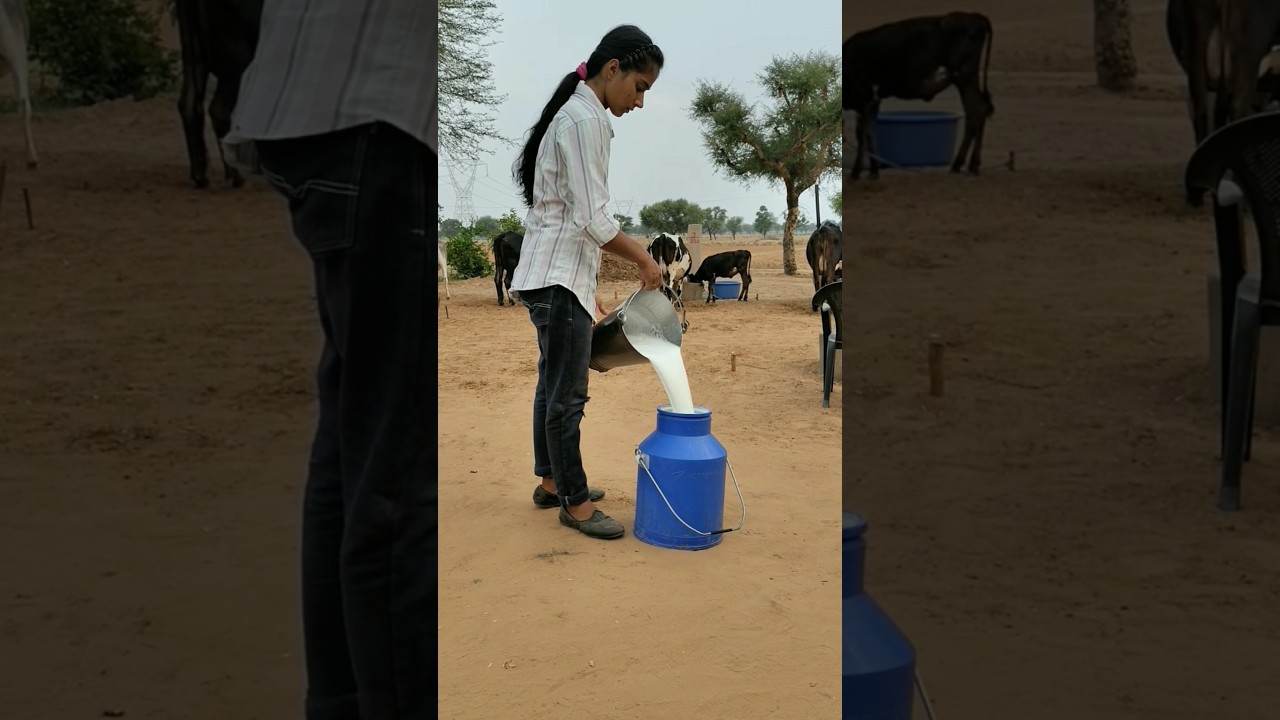 desi chhora cow milking by too hand Indian village girl #cow #trending #milk #animals #milkday