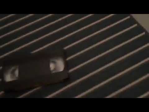 Destroying The Wiggles VHS
