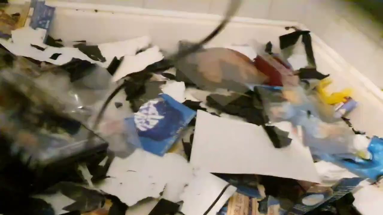 Destroying Toy Story 3 DVD