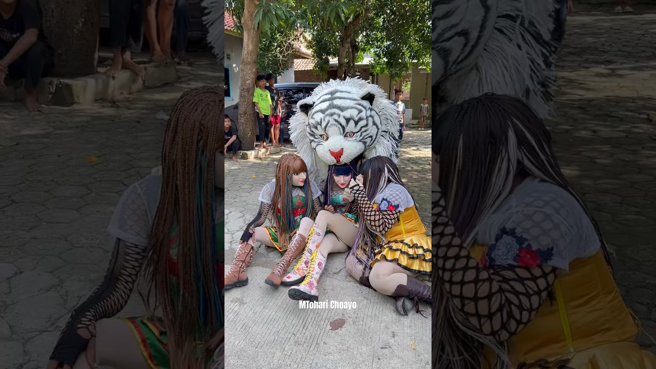 Detik detik trio cewe cantik dim@k@n can macanan❗️