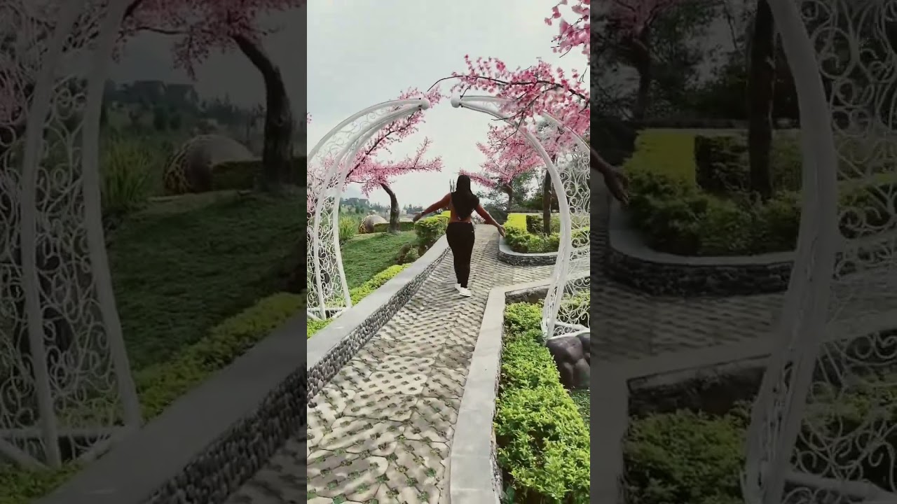 Di taman bunga sakura