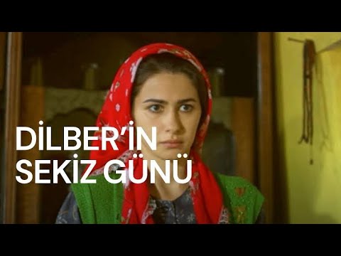 Dilberin 8 Günü 2008 (1080P_HD)