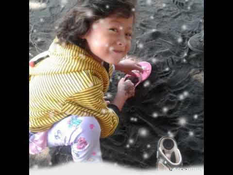 dina dini