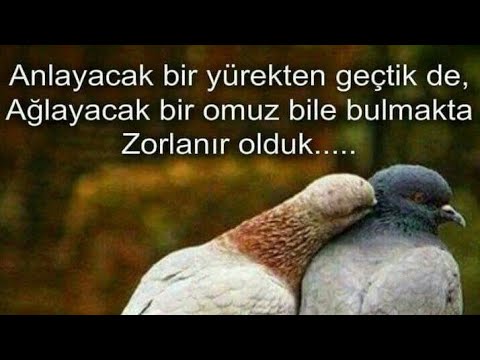 Dini Sözler 🌻 Etkileyici Sözler 🌻 Anlamlı Sözler 🌻 Düşündüren Sözler 🌻 Durum Sözleri