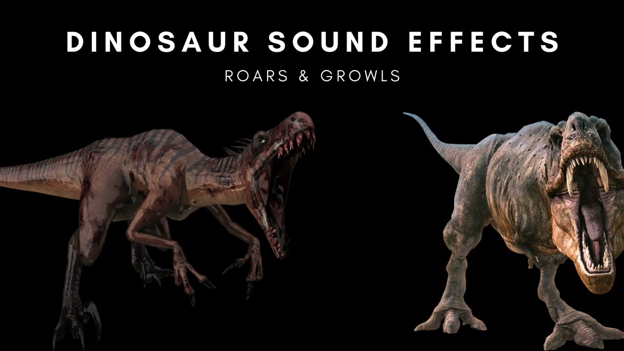 Dinosaur - Roars & Growls - Sound Effects