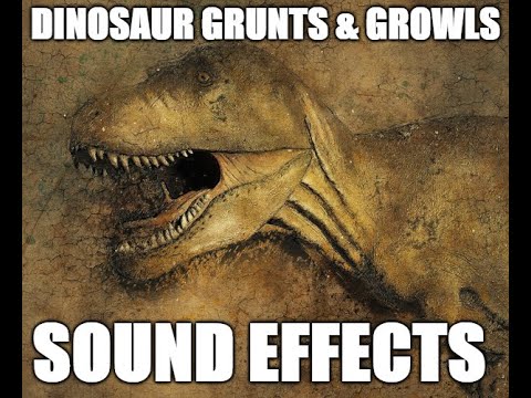 Dinosaur grunts & growls - Sound effects