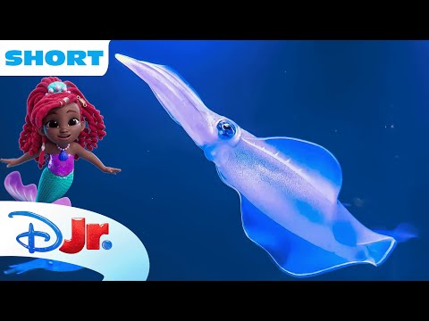 Disney Animals - Squids 🦑 | Under the Sea with Ariel | The Little Mermaid 🧜🏾‍♀️ | @disneyjr