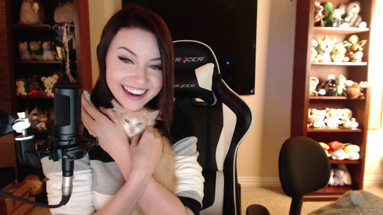Dizzykitten highlights vol 1.0