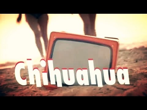 DJ BoBo - CHIHUAHUA ( Official Music Video )