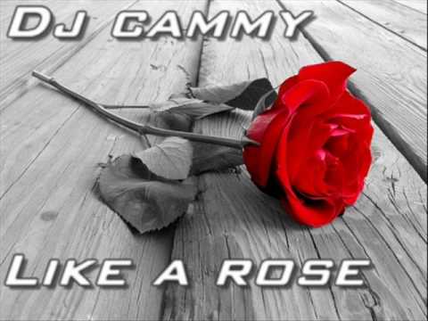 Dj Cammy   Like a Rose