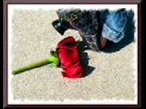 DJ CAMMY - like a rose