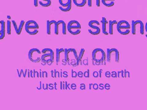 DJ Cammy - Like A Rose Lyrics