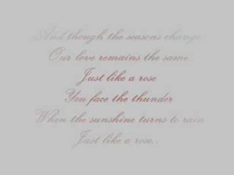Dj Cammy with Like a Rose(lyrics)