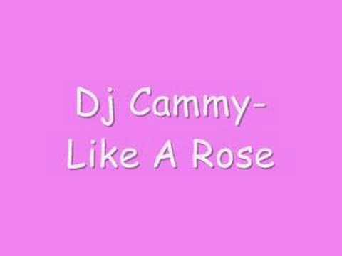 Dj Cammy-Like A Rose