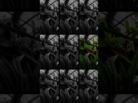 DJ SARANGHAE TIKTOK VIRAL | EDIT SLOMO VIDEO