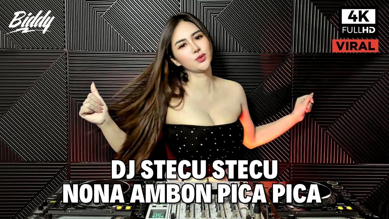 DJ STECU STECU STELAN CUEK BARU MALU X PICA PICA REMIX FULL BASS VIRAL TIK TOK TERBARU 2025
