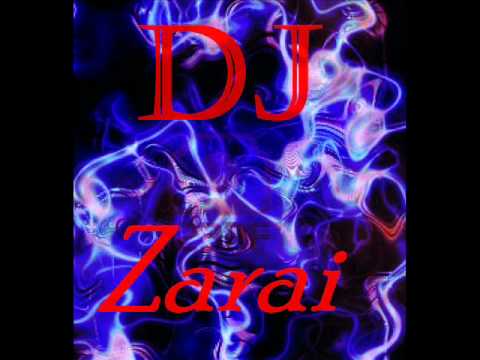 DJ Zarai - Shove It