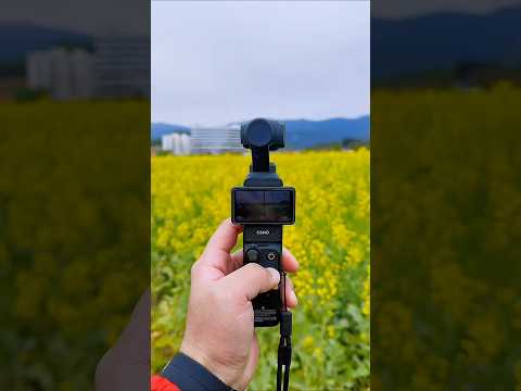 DJI Osmo Pocket 3 - Best 4K Pocket Camera Review & Setup | Ultimate Vlogging Gear #opencamera