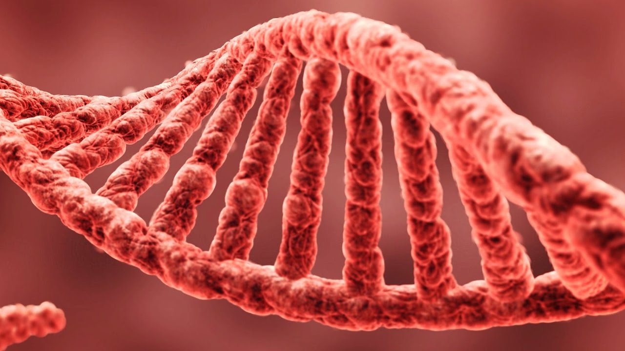 DNA Science - The Secret of Life Documentary