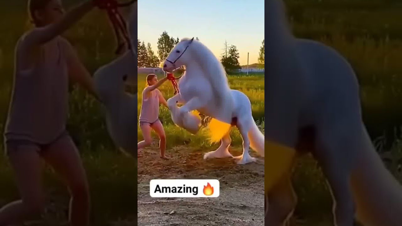 Dünyanın en güzel atı 😍 at videosu #shorts